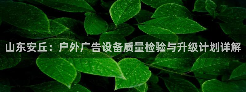杏宇平台怎么样知乎：山东安丘：户外广告设备质量检验与升级计划详解
