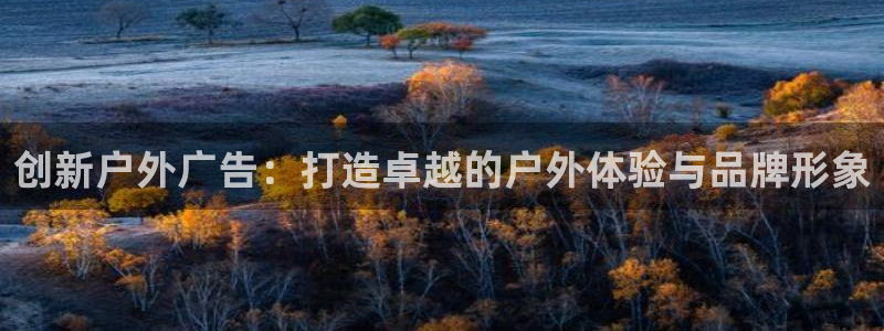 杏宇平台测速链接：创新户外广告：打造卓越