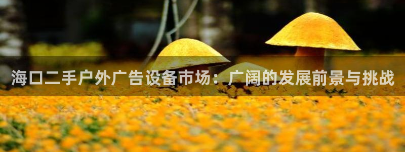 杏宇平台代理：海口二手户外广告设备市场：