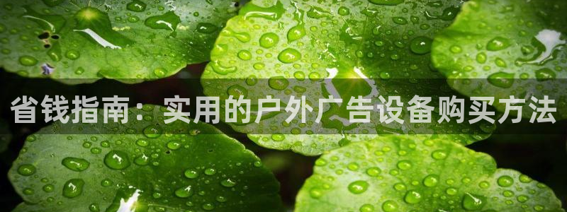 杏宇平台代理多少钱一个月：省钱指南：实用