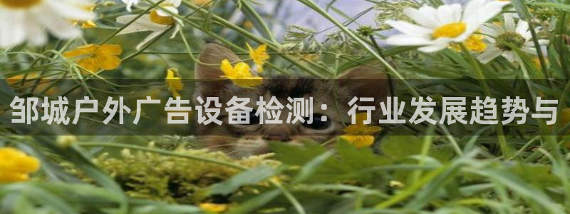 杏宇平台测速链接：邹城户外广告设备检测：