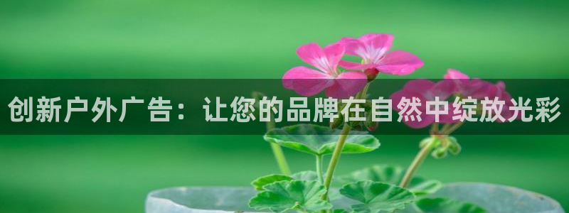 杏宇平台注册地址在哪里：创新户外广告：让您的品牌在自然中绽放光彩
