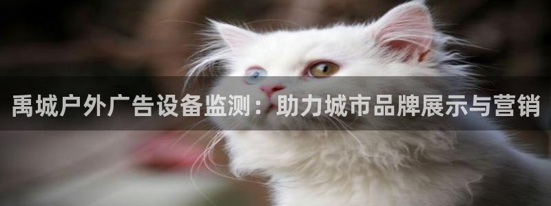 杏宇官方平台官网入口：禹城户外广告设备监