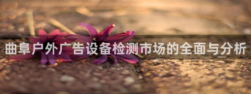 杏宇平台开户：曲阜户外广告设备检测市场的