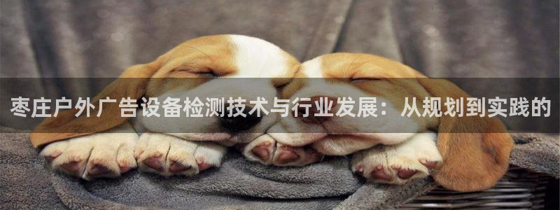 杏宇平台登录方法：枣庄户外广告设备检测技