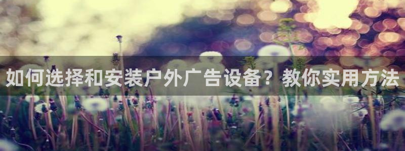 杏宇平台总代理是谁：如何选择和安装户外广