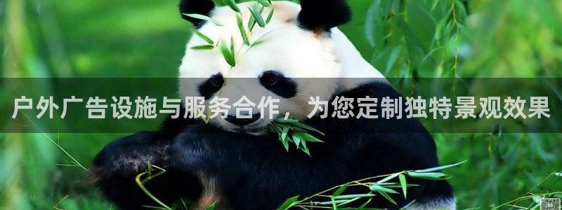 杏宇平台登录步骤：户外广告设施与服务合作