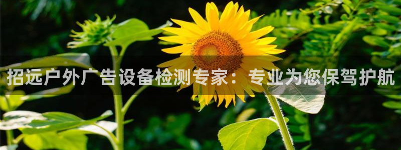 杏宇平台代理怎么赚钱快：招远户外广告设备检测专家：专业为您保驾护航