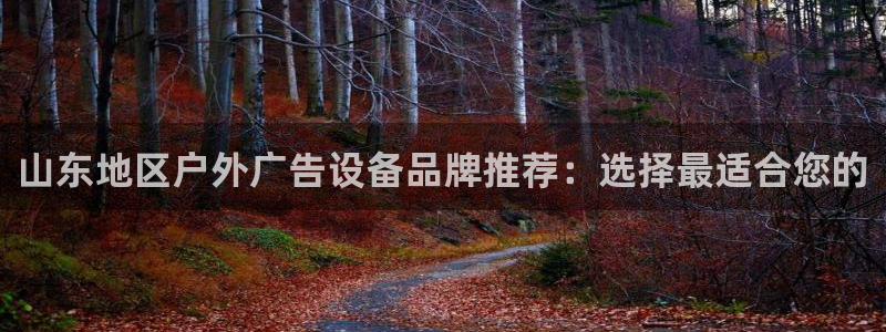 杏宇平台登录步骤是什么：山东地区户外广告