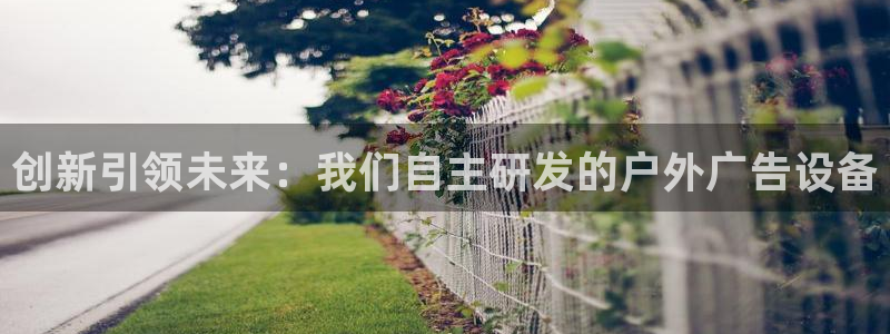 杏宇代理注册：创新引领未来：我们自主研发