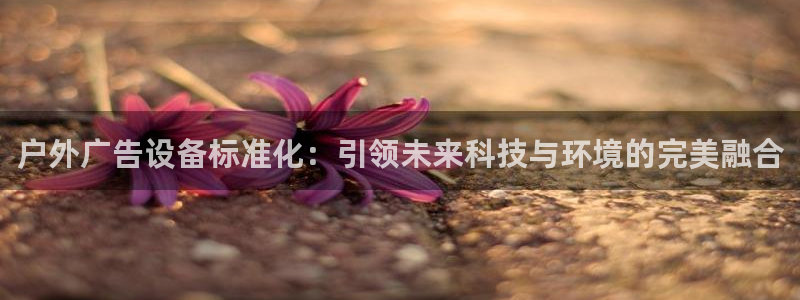 杏宇平台代理怎么赚钱的：户外广告设备标准化：引领未来科技与环境的完美融合
