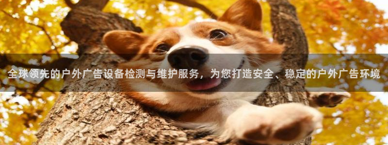 杏宇平台登陆：全球领先的户外广告设备检测