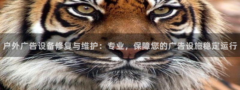 杏宇平台是什么：户外广告设备修复与维护：专业，保障您的广告设施稳定运行