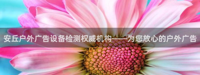 杏宇平台招商：安丘户外广告设备检测权威机构——为您放心的户外广告