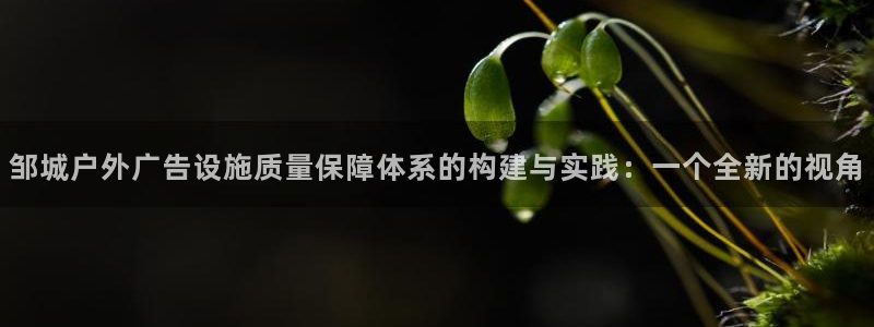 杏宇平台招商怎么样：邹城户外广告设施质量保障体系的构建与实践：一个全新的视角