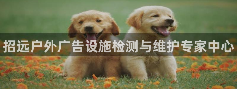 杏宇平台登录步骤是什么：招远户外广告设施检测与维护专家中心