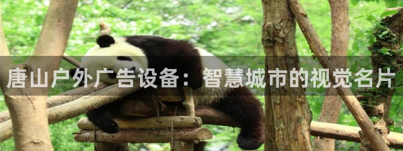 杏宇平台怎么样：唐山户外广告设备：智慧城