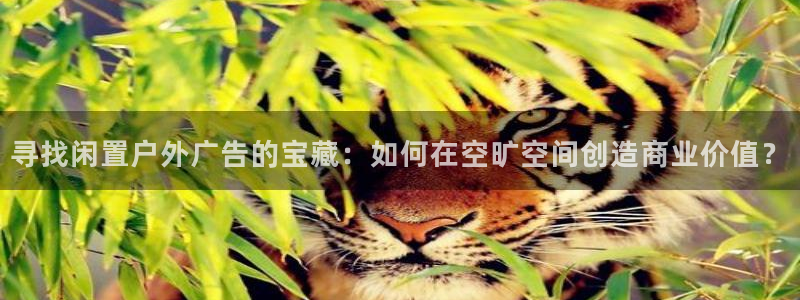 杏宇平台代理怎么样可靠吗：寻找闲置户外广