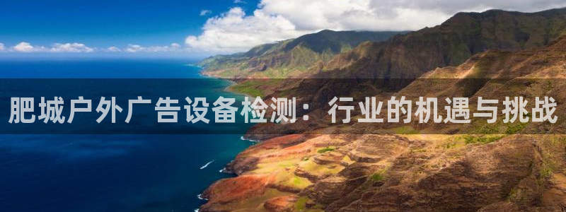 杏宇平台是什么：肥城户外广告设备检测：行业的机遇与挑战