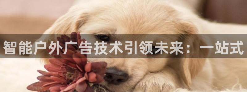 杏宇平台怎么样赚钱：智能户外广告技术引领