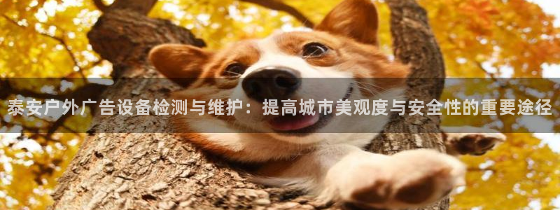 杏宇平台主管：泰安户外广告设备检测与维护