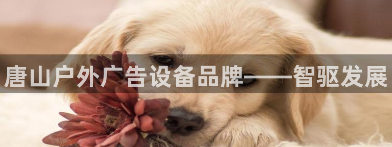 杏宇平台怎么样：唐山户外广告设备品牌——