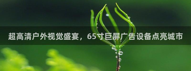 杏宇平台代理怎么样可靠吗