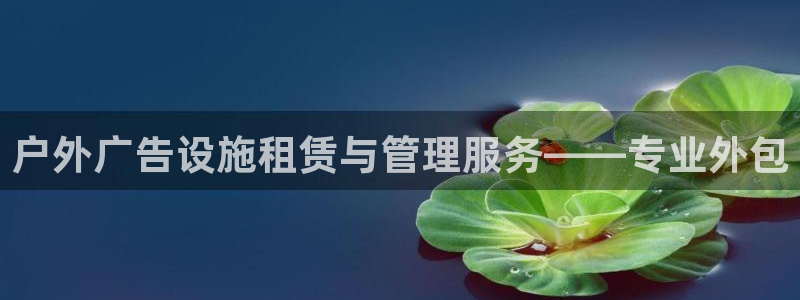 杏宇平台主管：户外广告设施租赁与管理服务