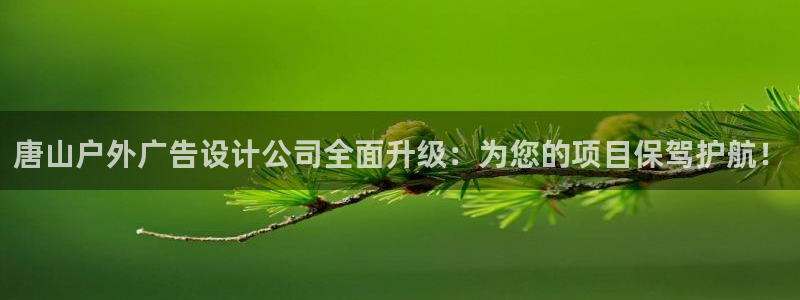 杏宇平台代理怎么赚钱的：唐山户外广告设计公司全面升级：为您的项目保驾护航！