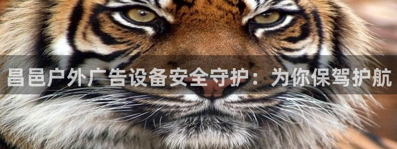 杏宇平台总代理电话