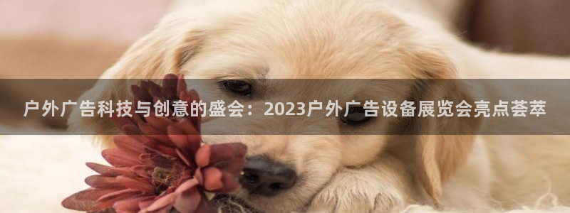 杏宇平台客服：户外广告科技与创意的盛会：2023户外广告设备展览会亮点荟萃
