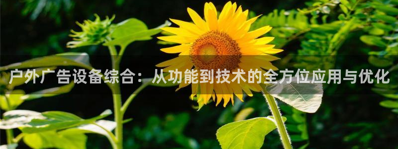 杏宇平台客服：户外广告设备综合：从功能到