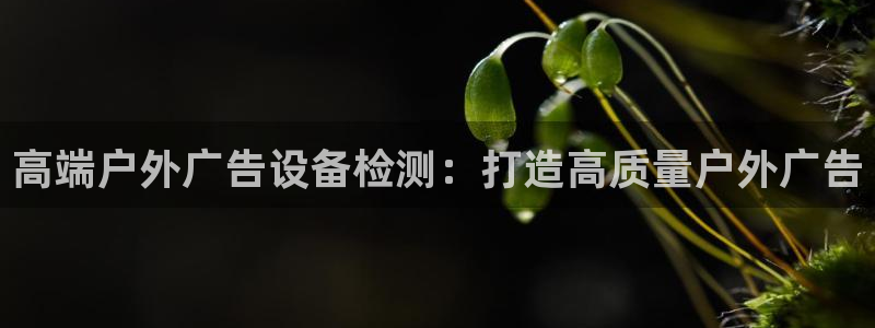 杏宇平台代理怎么样赚钱