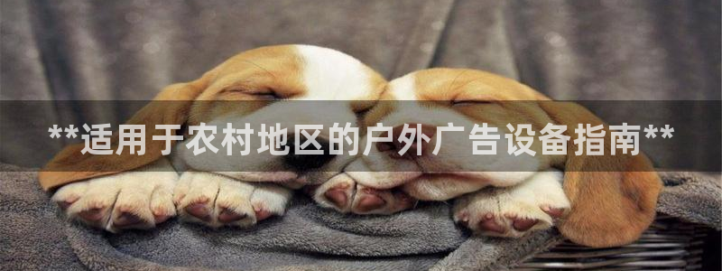 杏宇平台怎么样赚钱