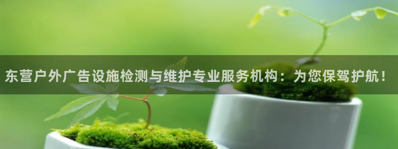 杏宇平台官网注册：东营户外广告设施检测与