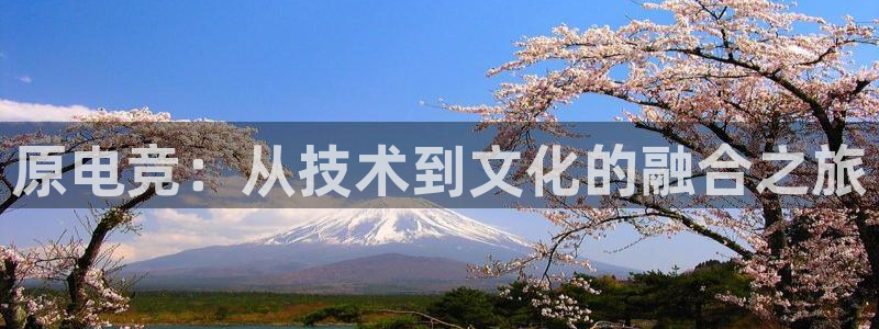 安博电竞app安卓能用吗